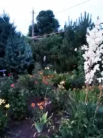Гостевой дом "На Набережной"