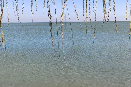 Гостевой дом у моря в Ейске